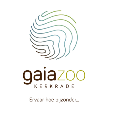 partner
